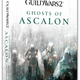 Image for article titled A Novel Introduction To The World Of Guild Wars 2